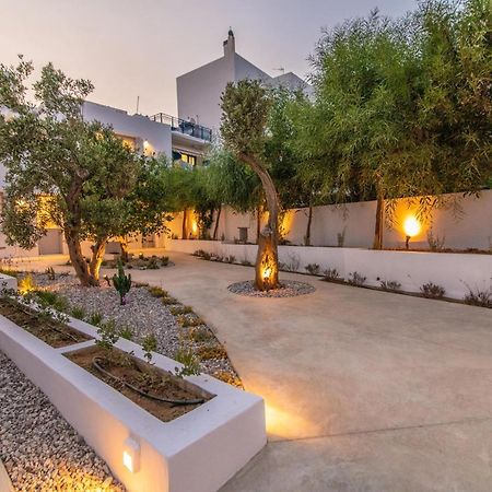 Acanthus Houses Tinos Bagian luar foto