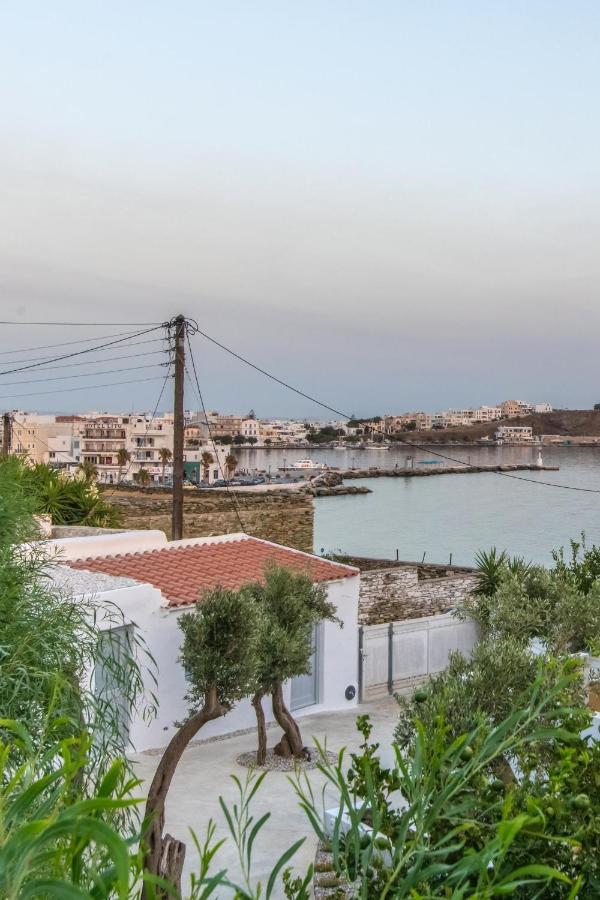 Acanthus Houses Tinos Bagian luar foto